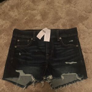 American Eagle Outfitters Dark Blue Distressed Denim Cutoff Shorts